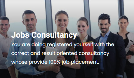 Career Plus Placement